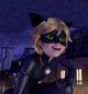 chat noir